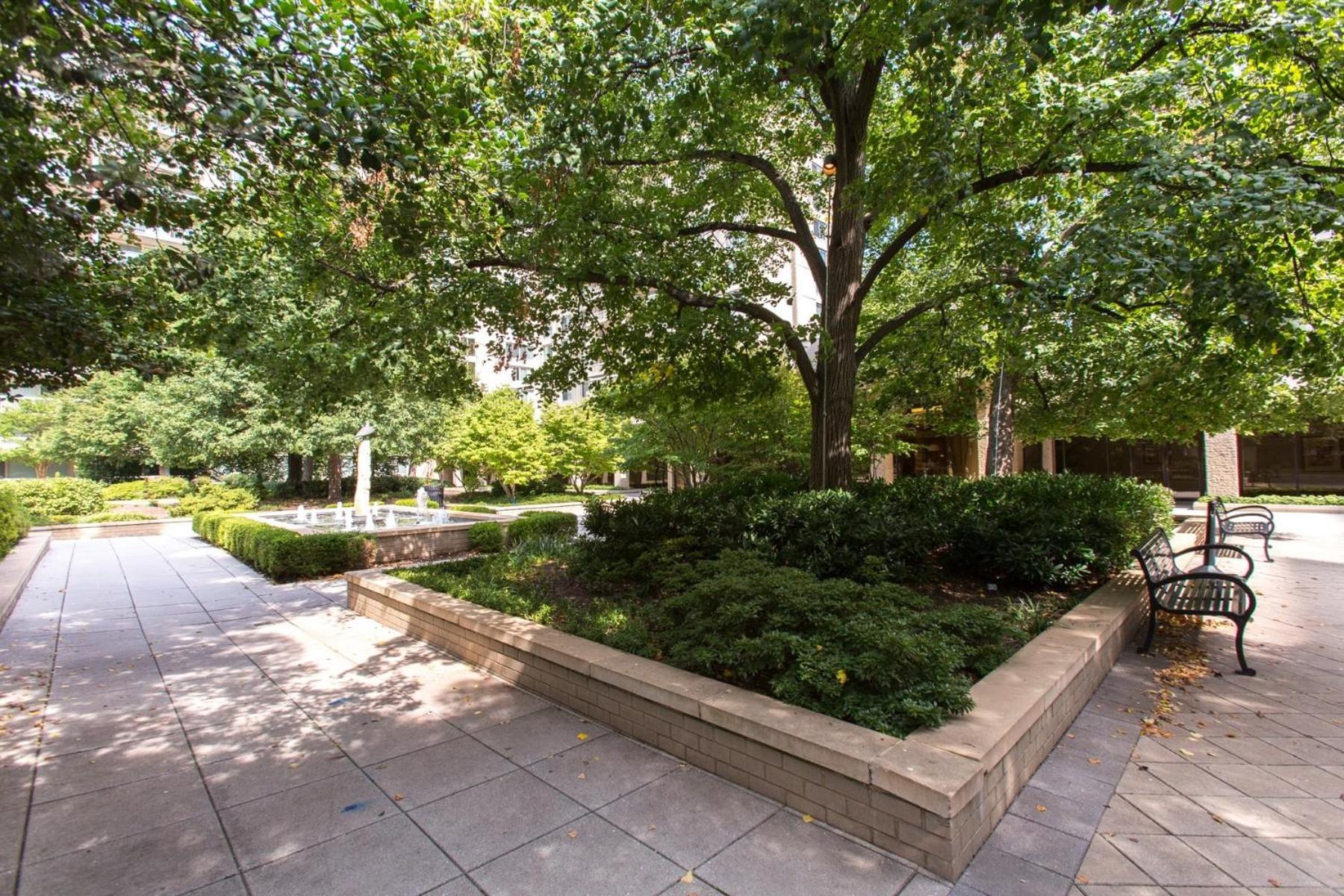 Spacious 2 Bedrooms Apt @Crystal City With Gym Arlington Extérieur photo